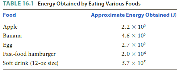 TABLE 16.1 Energy Obtained by Eating Various Foods Food Approximate Energy Obtained (J) Apple 2.2 × 105 4.6 x 105 Banan