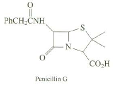 Penicillin’s are relatively unstable compounds and are