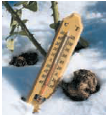 When the Celsius temperature is 0°, the corresponding Fahrenheit temperature