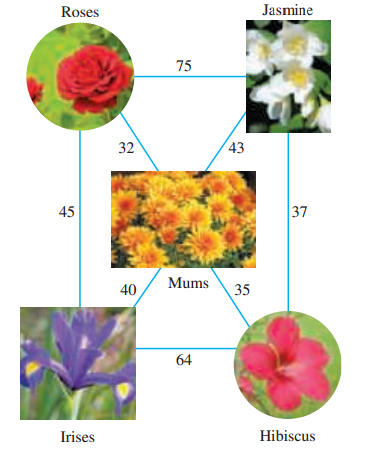 Jasmine Roses 75 43 32 37 45 Mums 40 35 64 Hibiscus Irises 