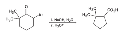 2-Brorno-6, 6-dimethylcyclohexanone gives 2, 2-dirnethylcyclopen