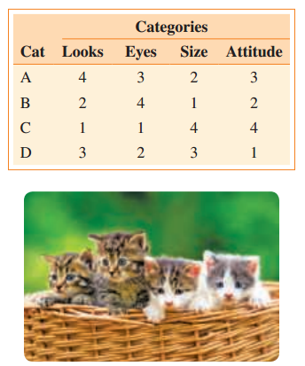 Categories Cat Looks Eyes Size Attitude 3 3 2 4 4 D 3 4- 2. 3. 