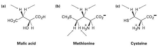 (c) (a) (b) нн нн нн CH3S, .co2- Соон Но-с HS нннаN н H3N H но н Cysteine Malic acid Methionine 