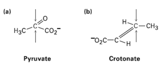 (b) (a) H-c-CH3 CO2 Нас 