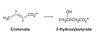 3 Он CO2 Hэс CHзCнCH2cO2 Crotonate 3-Нydroxybutyrate 