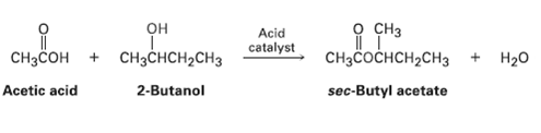 о сHз CHзCоснсH2сHз Acid он CH3CHCH2CH3 catalyst CHзcон Нао 2-Butanol Acetic acid sec-Butyl acetate 