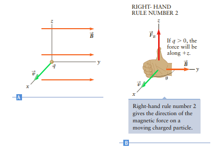 RIGHT- HAND RULE NUMBER 2 If q > 0, the force will be along +z. х Right-hand rule number 2 gives the direction of the m