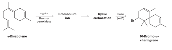 Cyclic carbocation -H*) Bromonium 