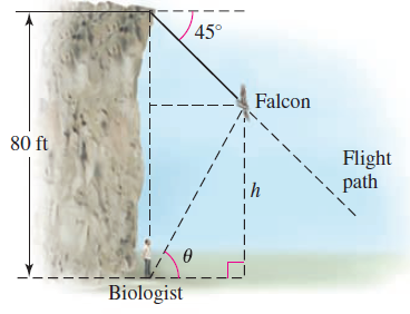 45° Falcon 80 ft Flight path Biologist 