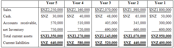 Year 5 Year 4 Year 3 Year 2 Year 1 Sales. SNZ2,250,000 SNZ2, 160,000 SNZ 30,000 SNZ 40,000 SNZ1,980,000 SNZ1 800,000 65,
