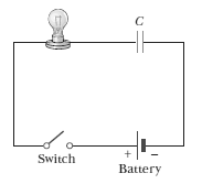 Switch Battery 