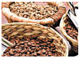 Three varieties of coffee—Arabian Mocha Sanani, Organic Shade Grown Mexico,