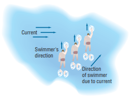 Current Swimmer's direction Direction of swimmer due to current 00 