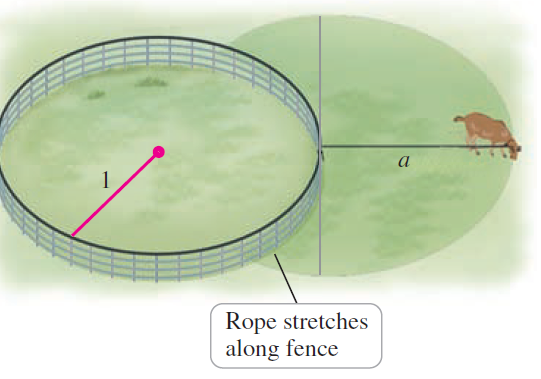 Rope stretches along fence 