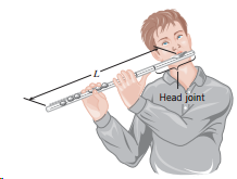Head joint 