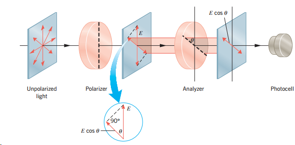 E cos e Unpolarized light Polarizer Analyzer Photocell 90° E cos 0 