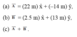 (а) А %3D (22 m) X + (-14 m) ў, (b) в %3 (2.5 m) х+ (13 m) ў, (с) А + в. 