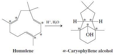 * H*. H,O H- -H ОН Humulene a-Caryophyllene alcohol