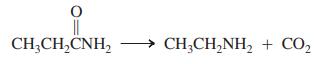 CH;CH,CNH, CH;CH,NH, + CO2
