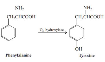 NH, NH2 CH,CHCOOH CH,CHCOOH 0, hydroxylase OH Phenylalanine Tyrosine