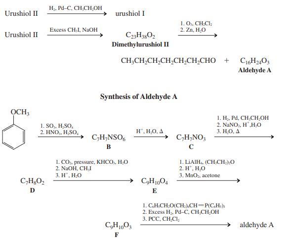 H, Pd-C, CH,CH,OH Urushiol II urushiol I Excess CHI, NAOH 1. O, CH.Clz 2. Zn, H.O Urushiol II C3H3302 Dimethylurushiol I CH,CH,CH,CH,CH,CH,CHO + Aldehyde A Synthesis of Aldehyde A OCH3 1. SO,, H,SO, 2. HNO,, H,SO, 1. H, Pd, CH,CH,OH 2. NaNO, H