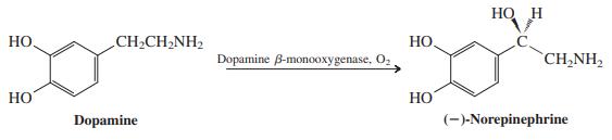 НО н НО. CH2CH2NH2 НО. Dopamine B-monooxygenase, O2 CH,NH2 HO НО Dopamine (-)-Norepinephrine