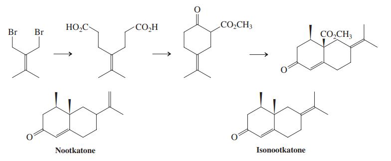 HO,C- CO,H CO2CH3 Br Br CO,CH3 Nootkatone Isonootkatone