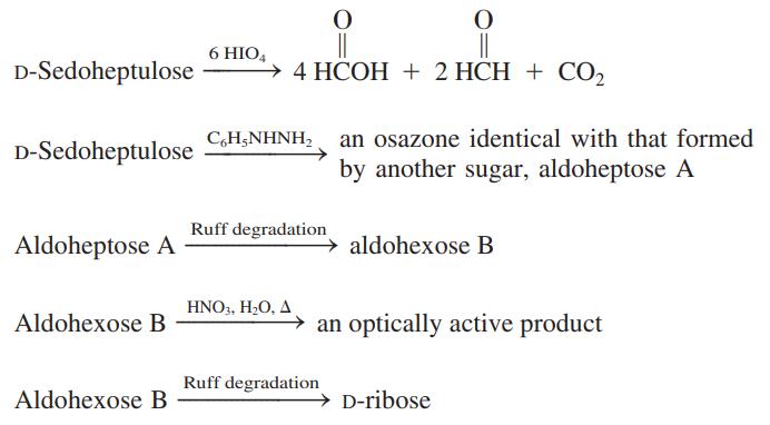 6 HIO, D-Sedoheptulose 4 HCOH + 2 HCH + CO2 C,H;NHNH, an osazone identical with that formed by another sugar, aldoheptose A D-Sedoheptulose Ruff degradation Aldoheptose A aldohexose B HNO3, H,O, A Aldohexose B → an optically active product Ruff degradation Aldohexose B → D-ribose