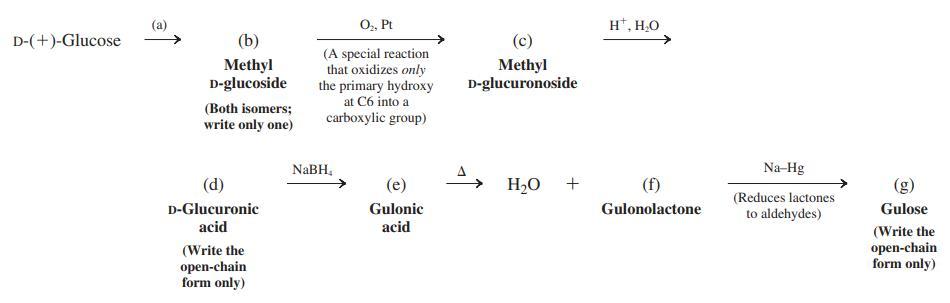 0, Pt H*, H,O D-(+)-Glucose (b) (c) Methyl D-glucoside (A special reaction that oxidizes only the primary hydroxy Methyl D-glucuronoside at C6 into a (Both isomers; write only one) carboxylic group) NaBH, Na-Hg (d) (e) H20 + (f) (Reduces lactones D-Glucuronic Gulonic Gulonolactone to aldehydes) Gulose acid acid (Write the