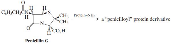 H C,H5CH,CN CH Protein-NH, 