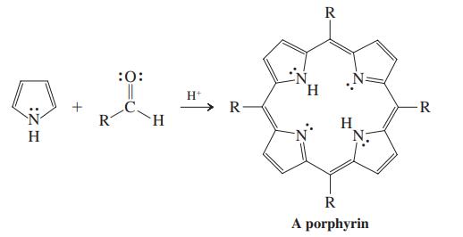 R :0: H. H+ R R R H H R A porphyrin