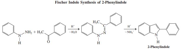 Fischer Indole Synthesis of 2-Phenylindole H;C. H