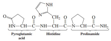 NH CH2 O HN-CH-C-NH-CH-C-N-CH-C-NH, Pyroglutamic acid Histidine Prolinamide