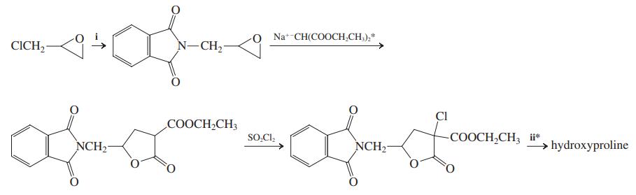 Na*-CH(COOCH,CH,),* CICH, N-CH2 Cl COOCH2CH3 SO,CI, -COOCH,CH; i* NCH2 NCH2- → hydroxyproline