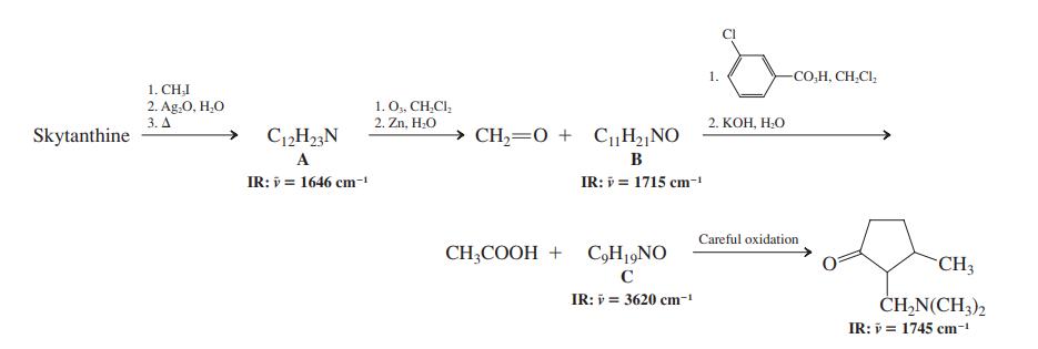 CI 1. -CO,.H, CH.CI, 1. CHẠI 2. Ag.O, H,O 3. Д 1. 0,, CH,CI, 2. Zn, H.O 2. КОН, Н.О Skytanthine C1H23N → CH,=0 + CH2NO A в IR: i = 1646 cm- IR: = 1715 cm- Careful oxidation CH;COOH + C,H19NO CH3 C IR: i = 3620 cm-! ČH,N(CH3)2