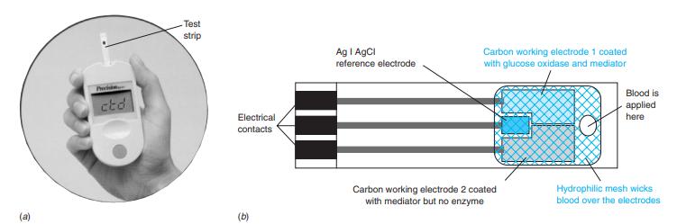 Test strip Ag I AgCI reference electrode Carbon working electrode 1 coated with glucose oxidase and mediator Blood is ctd applied here Electrical contacts Carbon working electrode 2 coated with mediator but no enzyme Hydrophilic mesh wicks blood over the electrodes (a) (b)