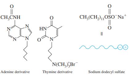 || CH,CNH || CH,(CH,),OSO Na+ HN N(CH, Br Adenine derivative Thymine derivative Sodium dodecyl sulfate