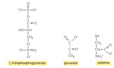 0-P-O C=0 HO-CH ÇH2 SH CH2 0-p=0 C=0 CH-C CH, NH,+ 1,3-bisphosphoglycerate pyruvate cysteine