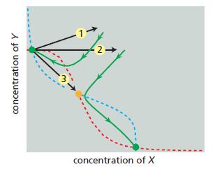 2 - concentration of X concentration of Y