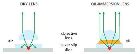 DRY LENS OIL-IMMERSION LENS objective lens air oil cover slip slide