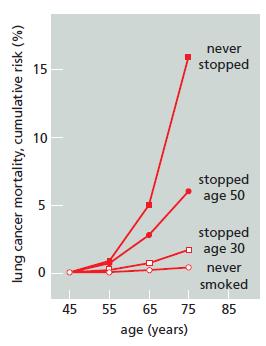 never 15 stopped 10 stopped age 50 stopped o age 30 never smoked 45 55 65 75 85 age (years) lung cancer mortality, cumulative risk (%)