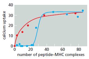 40 30 20 10 20 number of peptide-MHC complexes 40 60 80 calcium uptake