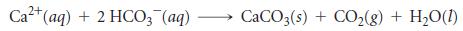 Ca2+(aq) + 2 HCO; (aq) CaCO3(s) + CO2(g) + H2O(1)