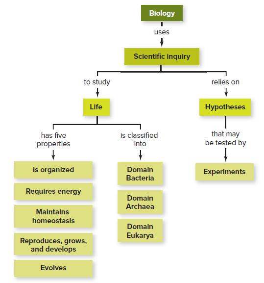 Biology uses Sclentific Inquiry to study relies on Life Hypotheses is classified into that may be tested by has five properties Is organized Domaln Experiments Bacteria Requires energy Domain Archaea Maintains homeostasis Domaln Eukarya Reproduces, grows, and develops Evolves