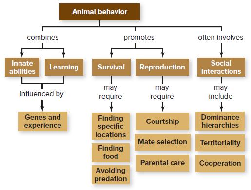 Animal behavior combines promotes often involves Innate Social Learning Survival Reproduction ablitles Interactions influenced by may require may require may include Genes and Finding specific locations Dominance hlerarchles Courtshlp experlence Mate selection Territoriality Finding food Parental care Cooperation Avoiding predation