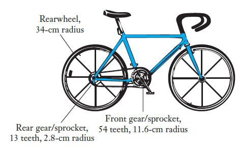 Rearwheel, 34-cm radius Front gear/sprocket, Rear gear/sprocket, 54 teeth, 11.6-cm radius 13 teeth, 2.8-cm radius