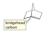 bridgehead carbon