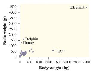 4500 Elephant 4000 3500 3000 2500 2000 • Dolphin Human 1500 1000 • Hippo 500 400 800 1200 1600 2000 2400 2800 Body weight (kg) Brain weight