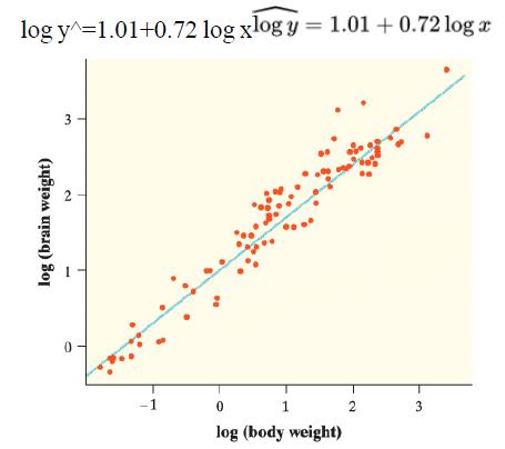 log y^=1.01+0.72 log xlog y = 1.01 + 0.72 log r 3 1 0. 1. 2 3 log (body weight) log (brain weight) 2.