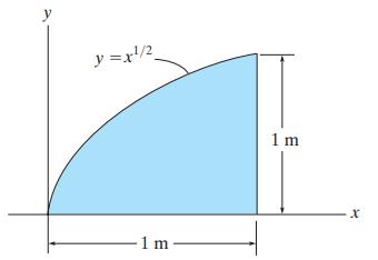y y =x/2. 1 m 1 m
